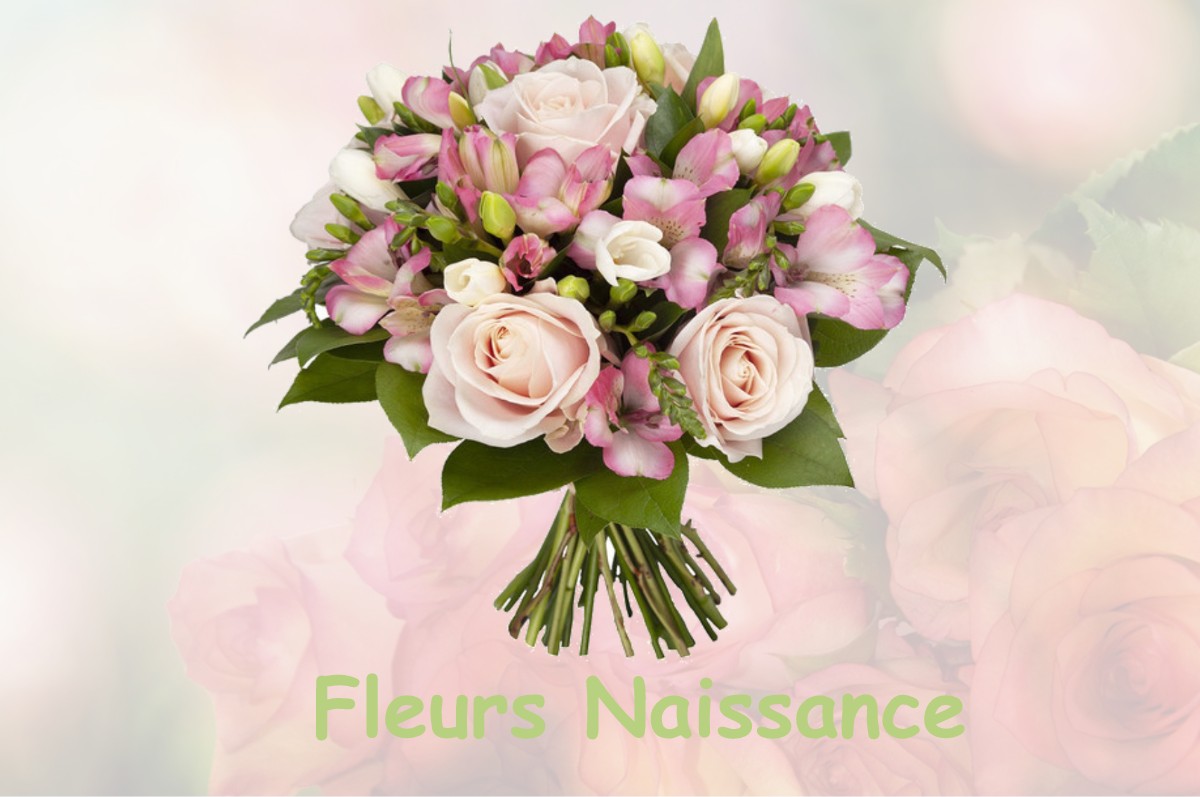 fleurs naissance BOULAY-LES-BARRES